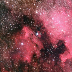 大胸美女被操高潮
